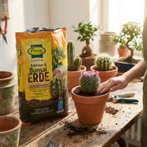 Artikel FRUX Grond Cactusgrond en Bonsaimeergrond 5L