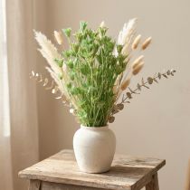 Artikel Gedroogde bloemen zwarte komijn groene nigella 50cm 100g