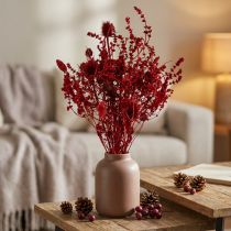 Artikel Boeket gedroogde bloemen, wijnrood, sierdistel, 40 cm, 80 g