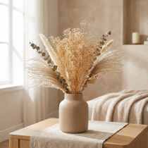 Artikel Gypsophila Viooltje Gipskruid Witte bloemen 50cm 55g