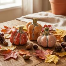Artikel Pompoenenset: Kleine decoratieve pompoenen voor herfstdecoratie, 5 cm, 3 stuks
