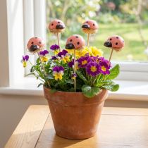 Artikel Lieveheersbeestje decoratieve bloempluggen houtkleurig 3,5cm 24 st