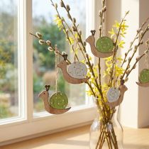 Artikel Decoratieve slakkenhoutdecoratie om op te hangen naturel groen 6,5cm 12 stuks