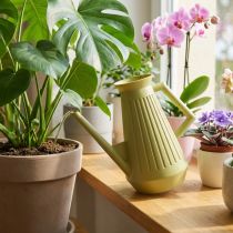 Artikel Gieter voor binnen, olijfgroen, retrostijl, 24,5 cm, 1,8 l, design gieter, kunststof, planten water geven