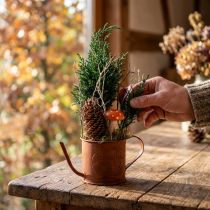 Artikel Roestige decoratieve gieter, mini plantenpotje, metaal, Ø10cm, H9cm