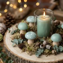Artikel Houten paddenstoelen decoratieve paddenstoelen houtvliegenzwammen groen mint 5cm 8 st