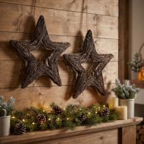 Artikel Decoratieve sterren voor het ophangen van wilgensterren naturel 48cm 2st