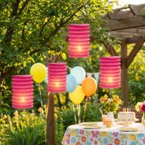 Artikel Lampion Trein Lantaarn Roze Ø10cm H13cm 8st