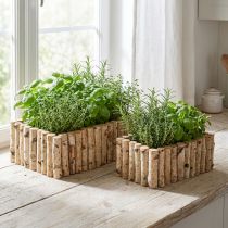 Artikel Plantenbak houten kruidenbak berken L23/28cm set van 2
