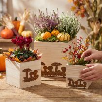 Artikel Plantenblokjes, bloembak, herfstdecoratie met patina 20/16/12cm set van 3