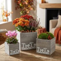 Artikel Houten blokjes met paddenstoelen, herfstdecoratie, plantenbak 20/16/12 cm, set van 3