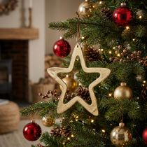 Artikel Kersthanger, sterdecoratie voor Advent, decoratie ster goud 14 × 14cm