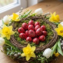 Artikel Kwartelei rood 3cm Paasdecoratie 50 st