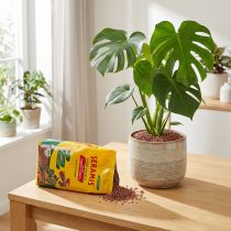 Artikel Seramis plantengranulaat voor kamerplanten 2,5l