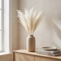Artikel Gedroogde bloemen, zilvergras. Elegante natuurlijke decoratie voor thuis en op kantoor. 70 cm, 10 stuks.