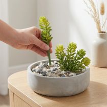 Artikel Kunstmatige vetplant voor een onderhoudsarme inrichting van woon- en kantoorruimtes, 15 cm, 6 stuks