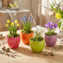 Artikel Mini Bloempot Paasei Kleurrijke Eieren Vazen Pastel 8.5cm 4 Stuks