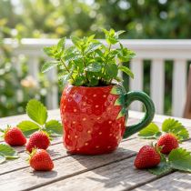 Artikel Keramieken beker aardbei voor planting 10cm Ø6,5cm