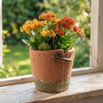Artikel Betonnen bloempot plantenbak terracotta pot Ø13cm H13cm