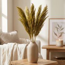 Artikel Gedroogd gras, olijfgroen, decoratief, 70cm, 10 stuks, vervanger voor pampasgras