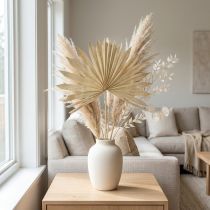 Artikel Palmspear Sun Natural Palm Leaf Gedroogde Natuurlijke Decoratie 30 stuks