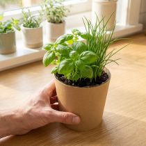 Artikel Bloempotten, plantenpotten, naturel, Ø11cm H10cm, 6 stuks