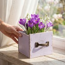 Artikel Lade Shabby Chic Deco Hout Paars Lente Deco 12.5×12.5×10cm