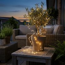 Artikel LED-lichtsnoer kerstverlichting timer buiten 180cm