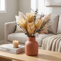 Artikel Eiwit gedroogde Repens crème 1e keus 10-12cm 25 st
