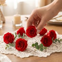 Artikel Infinity Roses Echte Bloemen Mini Rozenkoppen Rood Ø3cm 16 stuks