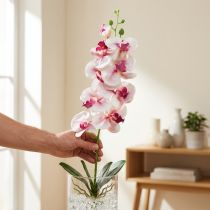 Artikel Orchidee Phalaenopsis kunst 9 bloemen wit fuchsia 96cm