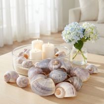 Artikel Natuurlijke slakkenhuisjes 1 kg
