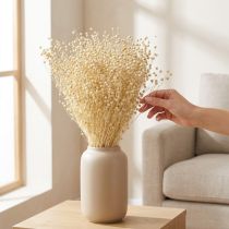 Artikel Gedroogd grasvlas gedroogd natuurlijk gebleekt 50-55cm 180g