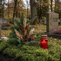 Artikel Decoratief mos gedroogd bosmosgroen natuurlijke decoratie 300g