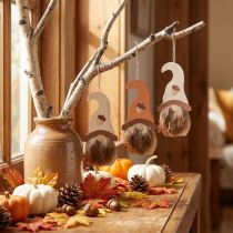 Artikel Kabouterhanger houten decoratie herfstkabouters 21×10,5cm 4 st