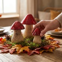 Artikel Decoratieve paddestoelen houten paddestoelen rood glans herfstdecoratie H6/8/10cm set van 3