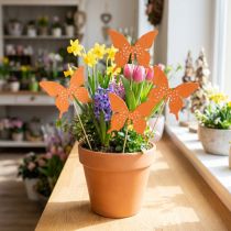 Artikel Vlinder houten bloemsteker gekleurd 9cm/29cm 12st