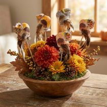 Artikel Sierplug uil, bloemendecoratie, uil met veren H5.5cm 6st