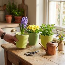 Artikel Papieren cachepot, plantenbak, pot voor opplant blauw/groen Ø13cm H12.5cm 4st