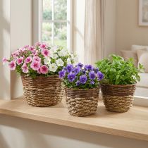 Artikel Natuurmand voor opplant, manddecoratie, plantenschalen naturel L21/19/16cm H21/19/16cm set van 3