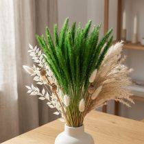 Artikel Groene borstelgierst Setaria viridis droog gras 52cm 28g