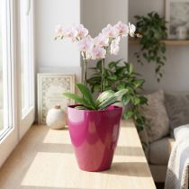 Artikel Orchideepot glanzend Ø12,5cm kers 1 st