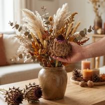 Artikel Artisjokbloesem gedroogde artisjok Cynara Ø9cm 16 stuks
