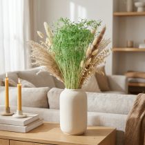 Artikel Gedroogde schermbloemen, groen, 70-80 cm, 150 g