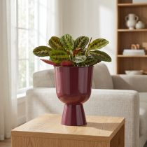 Artikel Bloempot, komvormig, moderne stijl, decoratief voor elk huis en kantoor, 23 cm