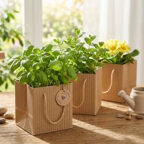 Artikel Papieren bloempot plantenzak folie naturel 10,5cm 10 stuks