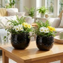 Artikel Bloempot Keramiek Ei Zwart Plantenpot Zwart Ø12cm 2st