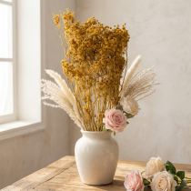 Artikel Boeket gedroogde dillebloemen met delicate bloesems voor een romantische vintage decoratie, 55 cm