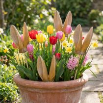 Artikel Tuinsteker met konijnenoren, lentefiguurtje voor tuin en paasdecoratie, 29 cm, 4 stuks