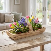 Artikel Houten mand met handvat, paulowniahout, 56 × 16 cm, hoogte 16 cm